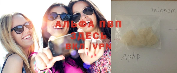 ПСИЛОЦИБИНОВЫЕ ГРИБЫ Верея