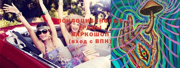 ECSTASY Вяземский