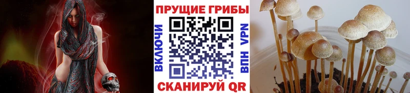 как найти наркотики  Закаменск  Галлюциногенные грибы прущие грибы 